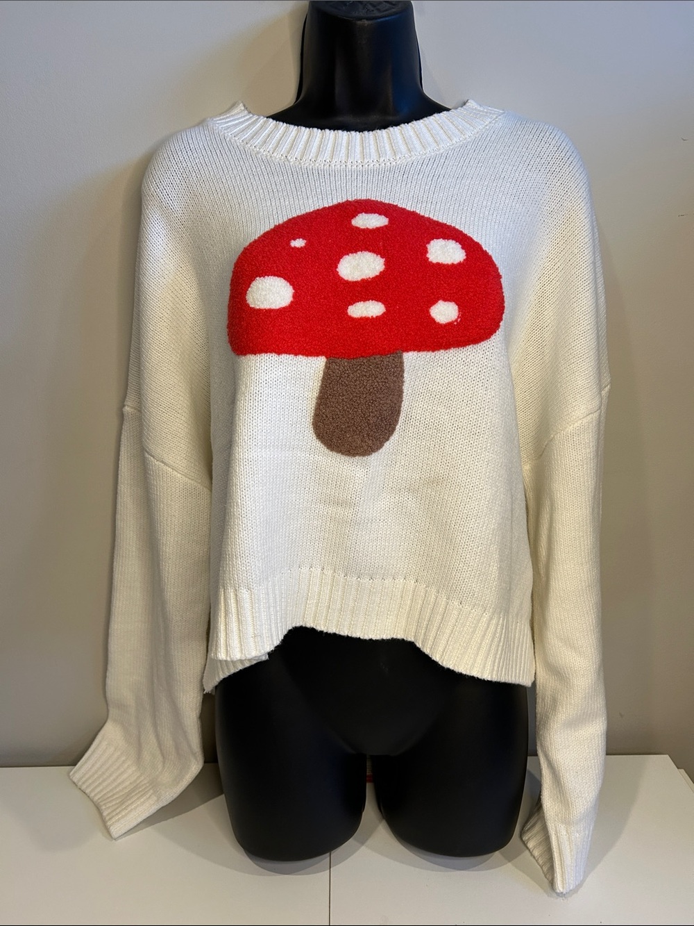 Cozy Cream Mushroom Knit Pullover Crop Sweater